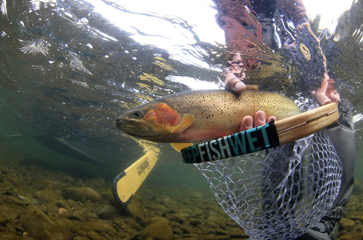 Yakima River Float | Rainbow & Cutthroat